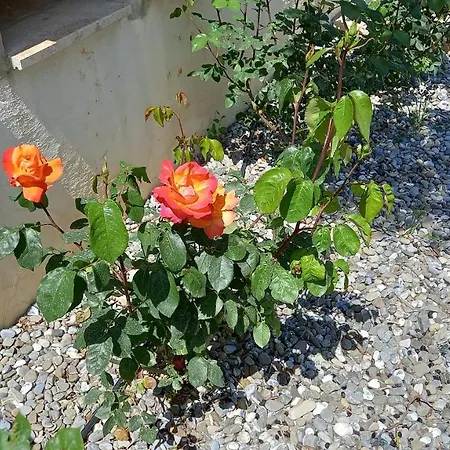 Lejlighed L'alba Della Tavernetta Locorotondo