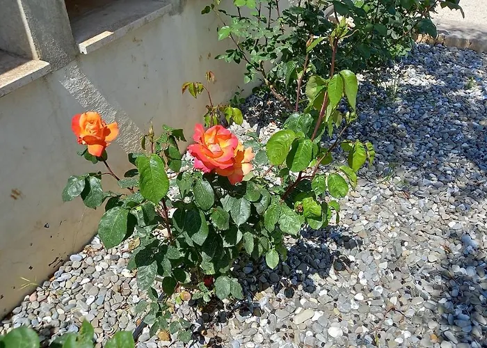 דירה L'alba Della Tavernetta לוקורוטונדו